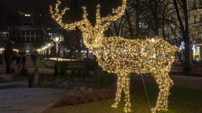 En ren gjord av ljusslingor i Esplanadparken i Helsingfors.