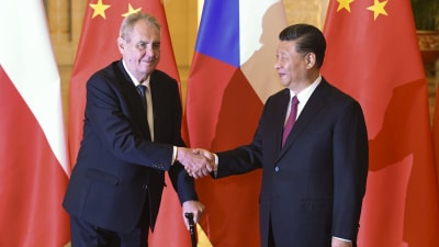 Tjeckiens president Milos Zeman skakar hans med Kinas president Xi Jinping. Zeman lutar sig på sin käpp.