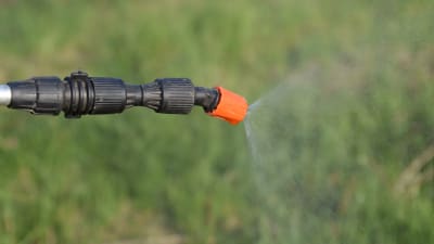Ogräsmedel sprutas på gräsmatta