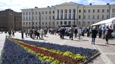 Blommor i den åländska flaggans färger på Senatstorget i Helsingfors för att uppmärksamma Ålands 100 år av självstyrelse.