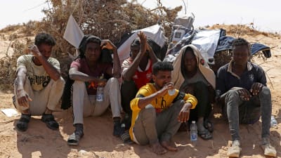 En grupp unga migrantmän sitter i öknen nära gränsen mot Tunisien.