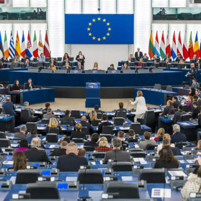 Europaparlamentariker under plenum i Strasbourg