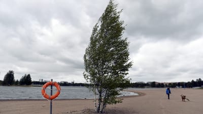 En tom sandstrand vid Sandstrand i Helsingfors 2 juni 2017