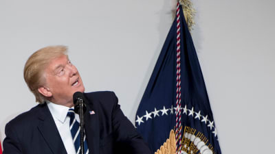Donald Trump talar vid det nationella republikanska kongressutskottets middag i Washington DC 21.3.2017