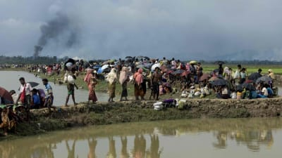 Rohingya-flyktingar i ingenmansland vid gränsen mellan Burma och Bangladesh den 4 september 2017.