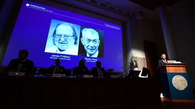 Thomas Perlmann avslöjar pristagarna av Nobelpriset i fysiologi eller medicin 2018, Tasuku Honjo och James P. Allison.