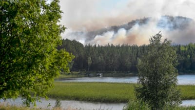 Skogsbränder i närheten av Ljusdal i Sverige.
