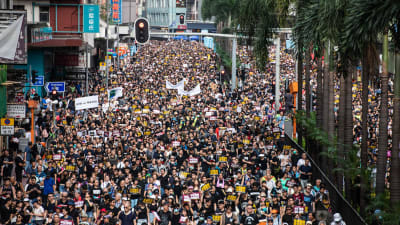 Demonstranterna gräver att Hongkong regeringschef Carrie Lam avgår. 
