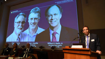 Nobelkommitténs sekreterare Thomas Perlmann med en bild på de tre prismottagarna.