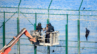 Migranter tar sig över gränsstängslet i Ceuta