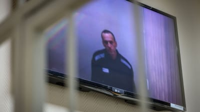 Aleksej Navalnyj på en TV-skärm under en rättegång.