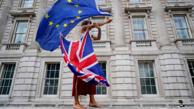 Brexitdemonstrant som viftar med flaggor.