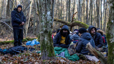 Migranter i en skog nära gränsen mellan Belarus och Polen. 