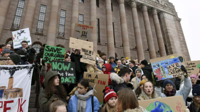 Unga demonstranter på riksdagshusets trappa 11.1.2019.