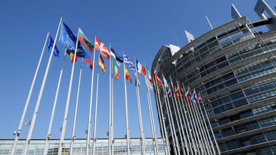 Eu-ländernas flaggor vajar vid EU-parlamentets byggnad i Strasbourg.