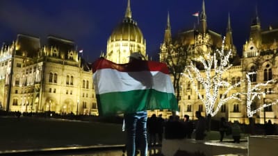 En demonstrant står svept i Ungerns flagga i Budapest.