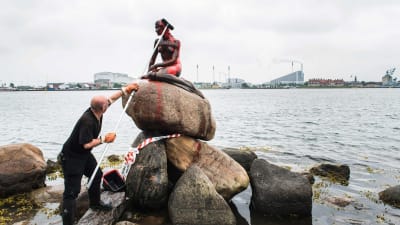Skulpturen Den lille havfrue i Köpenhamn rengörs.
