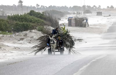 Palestinier transporterar ved i Khan Younis på Gazaremsan  