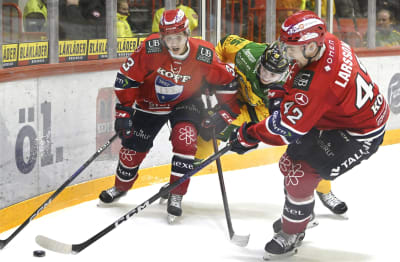 Ishockeyligan