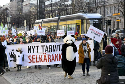 Demonstrationståg i Helsingfors centrum med en maskot i pandadräkt längst fram, framför WWF:s banderoll.