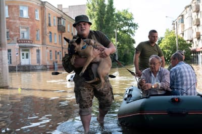 En soldat evakuerar människor och en hund från en översvämmad gata.