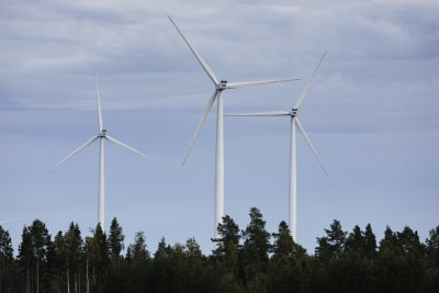 Tre vindkraftverk syns ovanför trädtopparna.
