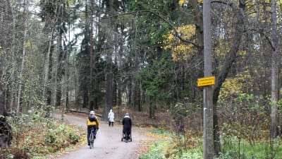 skog där mänskor går och cyklar på en naturstig