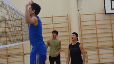 Tre volleybollspelare spelar i gymnastiksal.