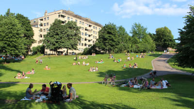 Koffens park i Helsingfors