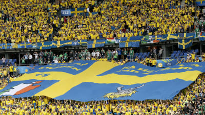 Svenska fans, EM 2016.