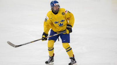 Alexander Nylander är ett svenskt ishockeylöfte.