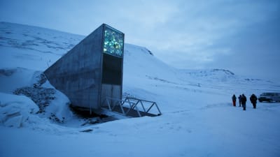 Den så kallade "domedagsbanken" på Svalbard lagrar frön från 4 000 olika växter.