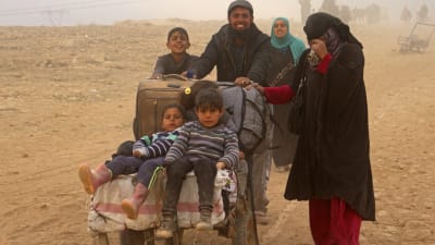 flyktingar från Mosul