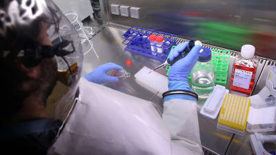 Ebola behandlas i ett laboratorium i Tyskland