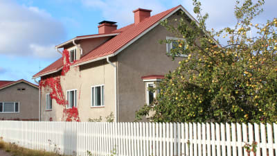 Hus i Lovisa med äppelträd på gården