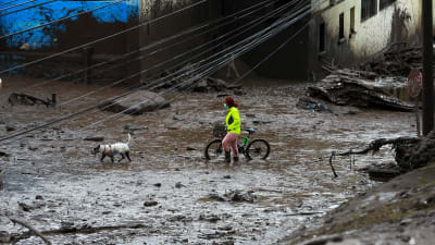 En kvinna och hennes hund vadade genom lera och bråte efter skyfallen. 