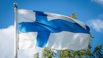 Suomen lippu tangossa