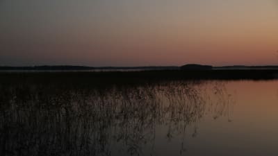 Sjön Puruvesi på natten.