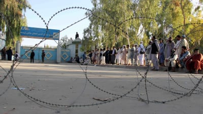 Väljare står och köar utanför en vallokal i Kandahar omgivna av taggtråd och beväpnade vakter. 