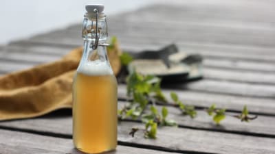 Glasflaska med björkschampo på brygga