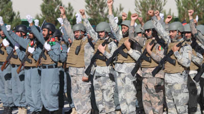 Afghanska soldater står i ett led med höjda nävar