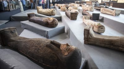Arkelogiskt fynd; sarkofager i Egypten presenterades 14.11.2020 