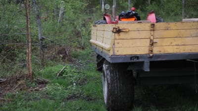 Traktor med släp står på skogsväg.