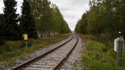Järnvägsspår