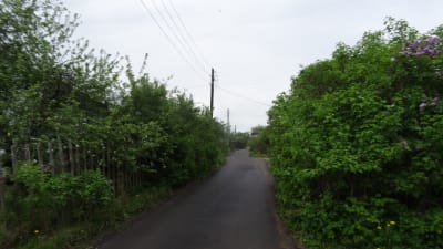 En smal asfalterad väg kantad av gröna buskar som leder till en datja..