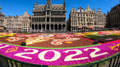 En färgglad blomstermatta utanför Grand palace i Bryssel. 