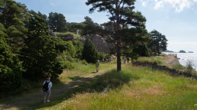 Svartholm