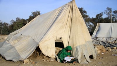 En flicka sitter och läser utanför ett tält. Tältet är gjort av presenning som har spänts mot marken. Det är smutsigt och har hål.
