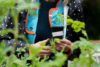 Harriet Abrahamsson håller en broccoliplanta i handen på sin odlingslott i Toimela odlingsträdgård.