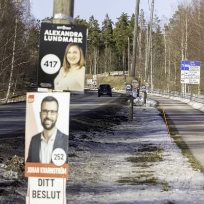 Riksdagsvalreklam vid en vägren i Karis.